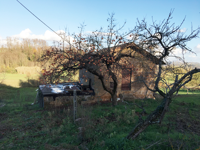 Casaletto agricolo con terreno