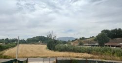 Fabbricato per attività agricola con terreno di 11732 mq