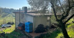 Indipendente con terreno