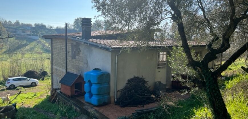 Indipendente con terreno