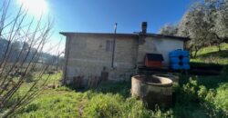 Indipendente con terreno