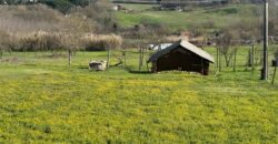 Terreno agricolo con C/2