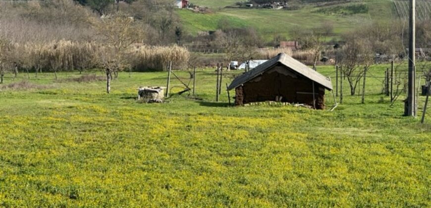 Terreno agricolo con C/2