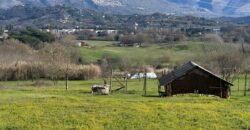 Terreno agricolo con C/2