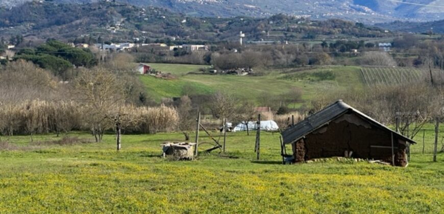 Terreno agricolo con C/2