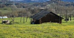 Terreno agricolo con C/2