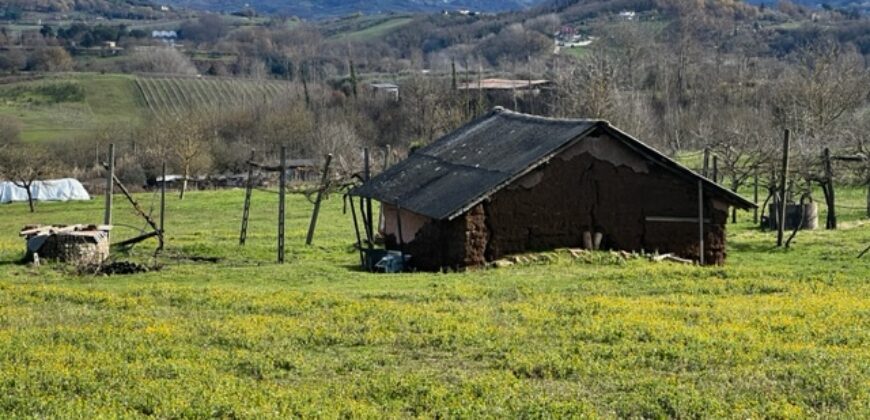 Terreno agricolo con C/2