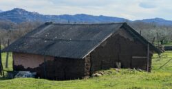 Terreno agricolo con C/2