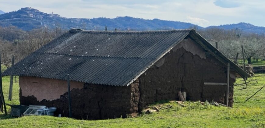 Terreno agricolo con C/2