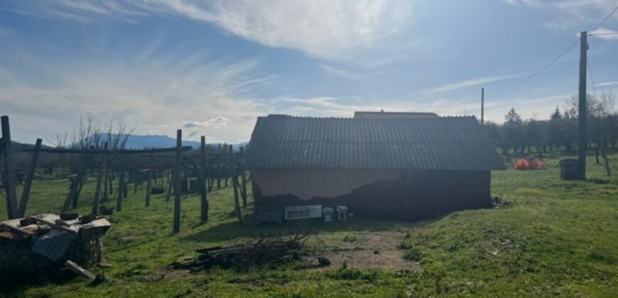 Terreno agricolo con C/2