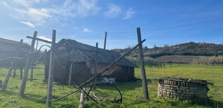 Terreno agricolo con C/2