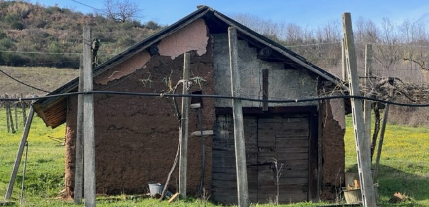 Terreno agricolo con C/2