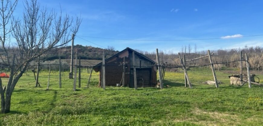 Terreno agricolo con C/2