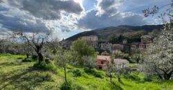 Indipendente di civile abitazione