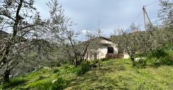 Indipendente di civile abitazione