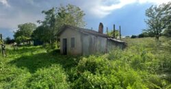 Magazzino agricolo con terreno