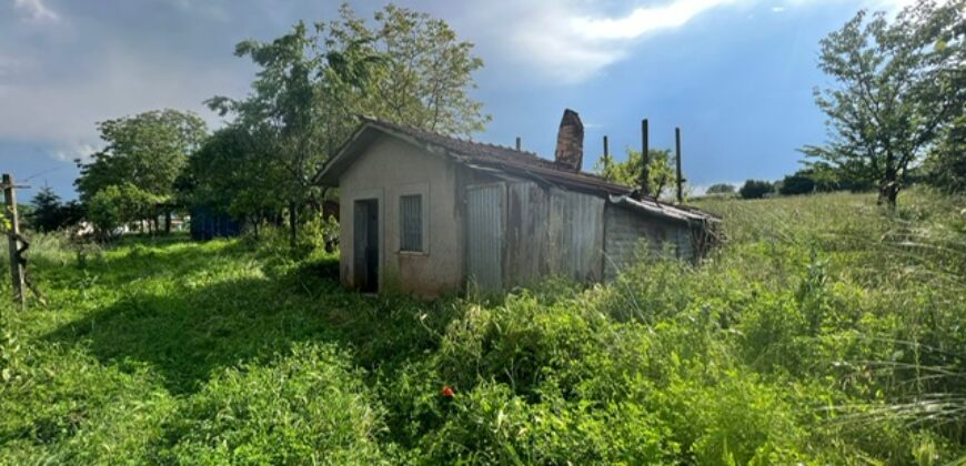 Magazzino agricolo con terreno