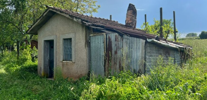 Magazzino agricolo con terreno