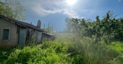 Magazzino agricolo con terreno