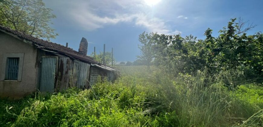 Magazzino agricolo con terreno