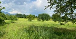 Magazzino agricolo con terreno