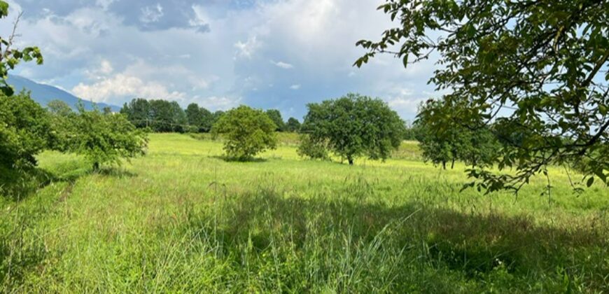 Magazzino agricolo con terreno