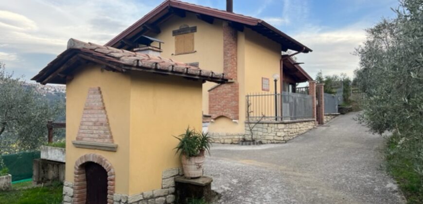 Rustico accatastato come C/2 con terreno di 12.830 mq