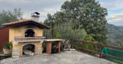 Rustico accatastato come C/2 con terreno di 12.830 mq