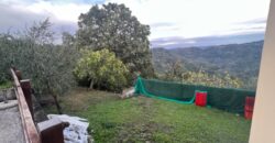 Rustico accatastato come C/2 con terreno di 12.830 mq