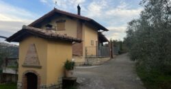 Rustico accatastato come C/2 con terreno di 12.830 mq