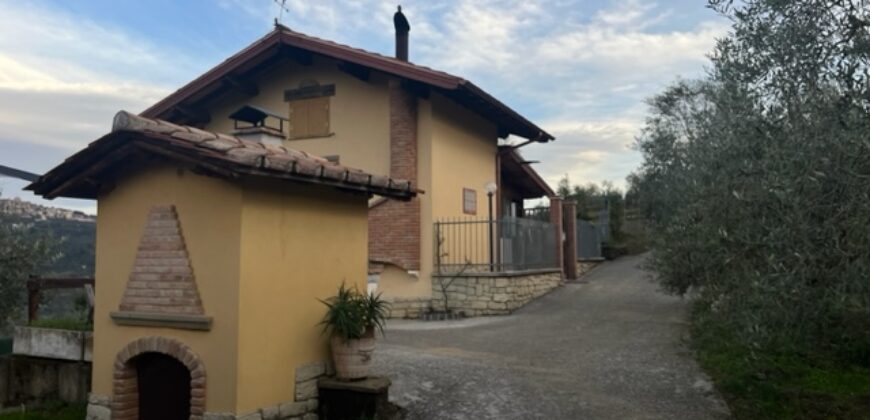 Rustico accatastato come C/2 con terreno di 12.830 mq