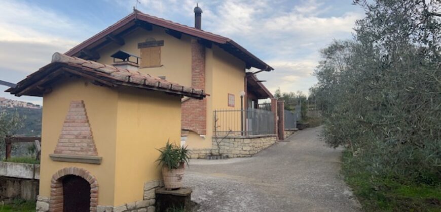 Rustico accatastato come C/2 con terreno di 12.830 mq