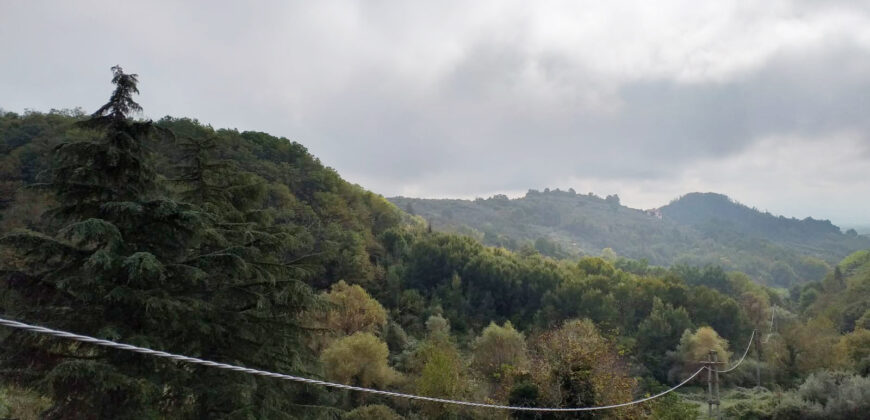 Appartamento ristrutturato
