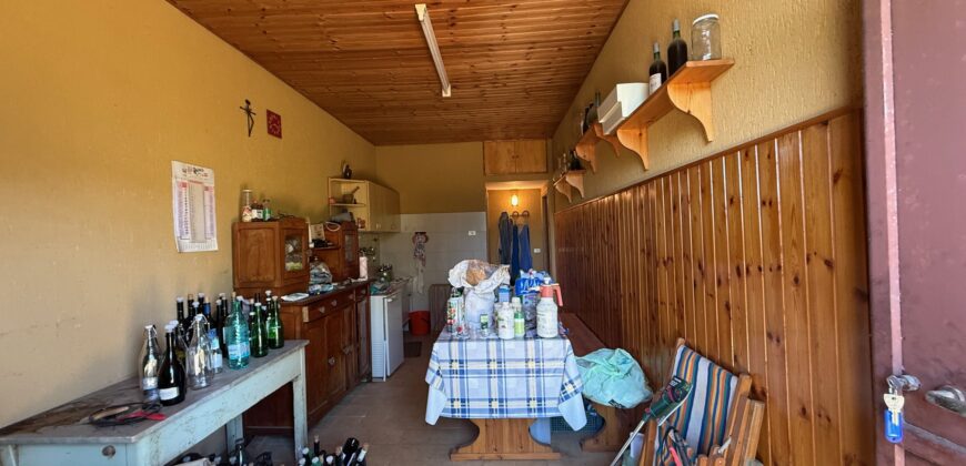 Terreno agricolo con rustico di 5420 mq