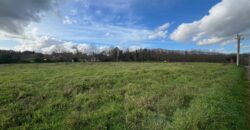 Terreno di ca 3 ettari