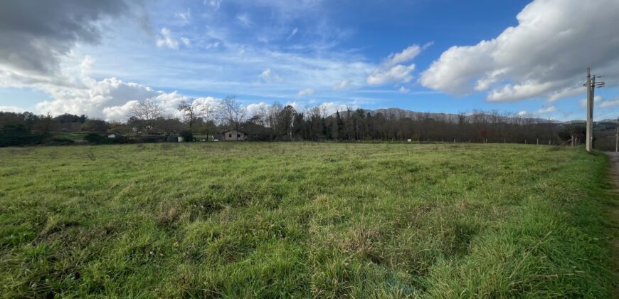 Terreno di ca 3 ettari