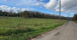 Terreno di ca 3 ettari
