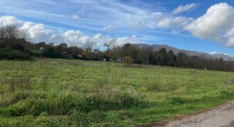 Terreno di ca 3 ettari